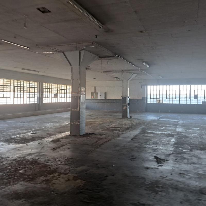 To Let commercial Property for Rent in Neave Industrial Eastern Cape